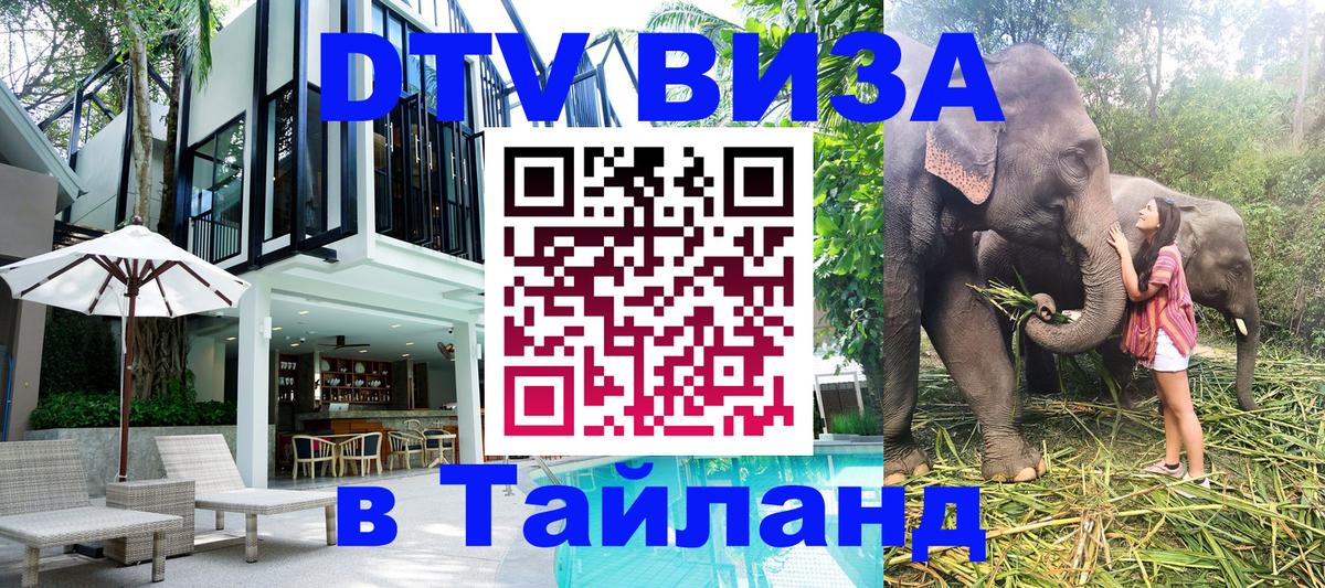 Сколько стоит DTV виза — актуальные цены, оформление даже без документов - 04.10.2025 